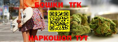 индика Камень-на-Оби