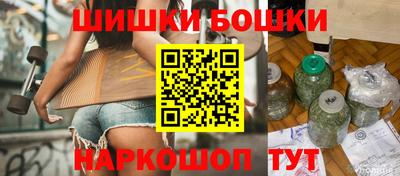 индика Камень-на-Оби