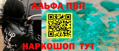 индика Камень-на-Оби
