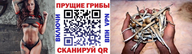 Псилоцибиновые грибы ЛСД  Купить  Краснотурьинск 