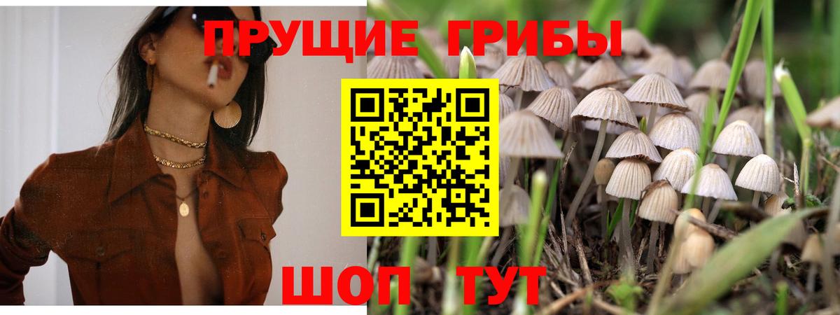 Псилоцибиновые грибы Magic Shrooms Краснотурьинск