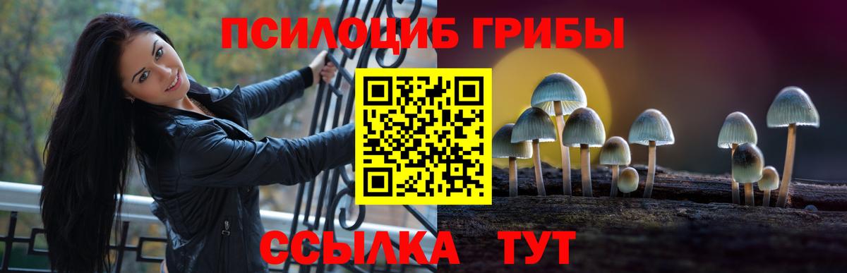 Псилоцибиновые грибы мицелий  Вход с VPN  Краснотурьинск  Псилоцибиновые грибы MAGIC MUSHROOMS 